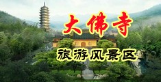骚网在现观看中国浙江-新昌大佛寺旅游风景区